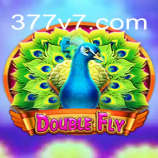 Explorando o Mundo de DoubleFly: Um Guia Abrangente para Iniciantes